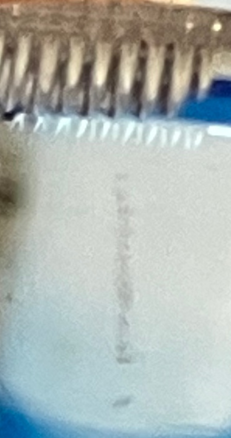 Vintage Crystal Ashtray or Trinket Dish – Pinwheel Starburst Pattern, Heavy Cut Glass