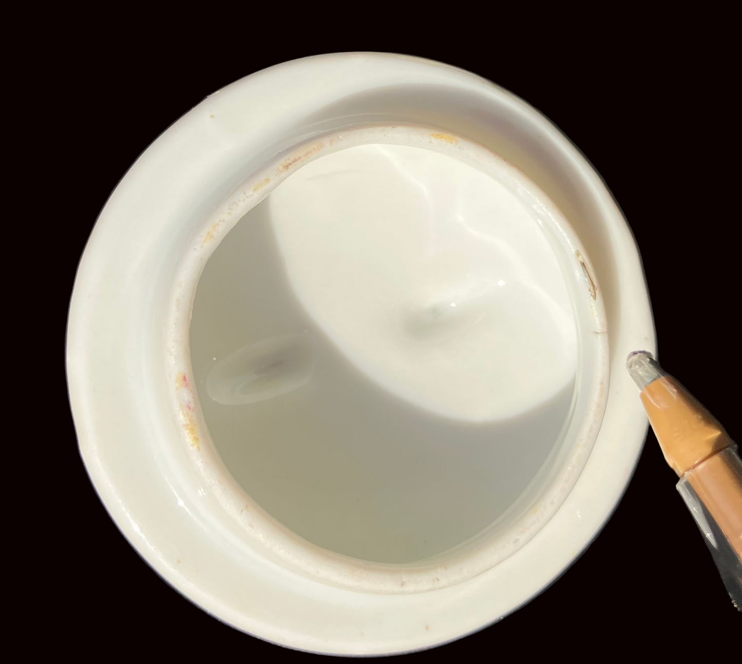 Antique Bavaria Handpainted Covered Creamer  - PSAG Crown Mark