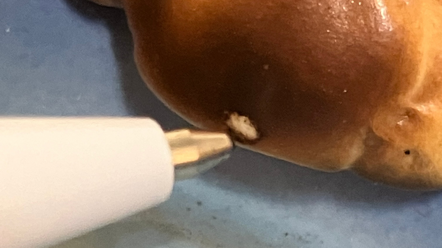 Vintage Mid-Century Ceramic Puppy in Shoe Bank