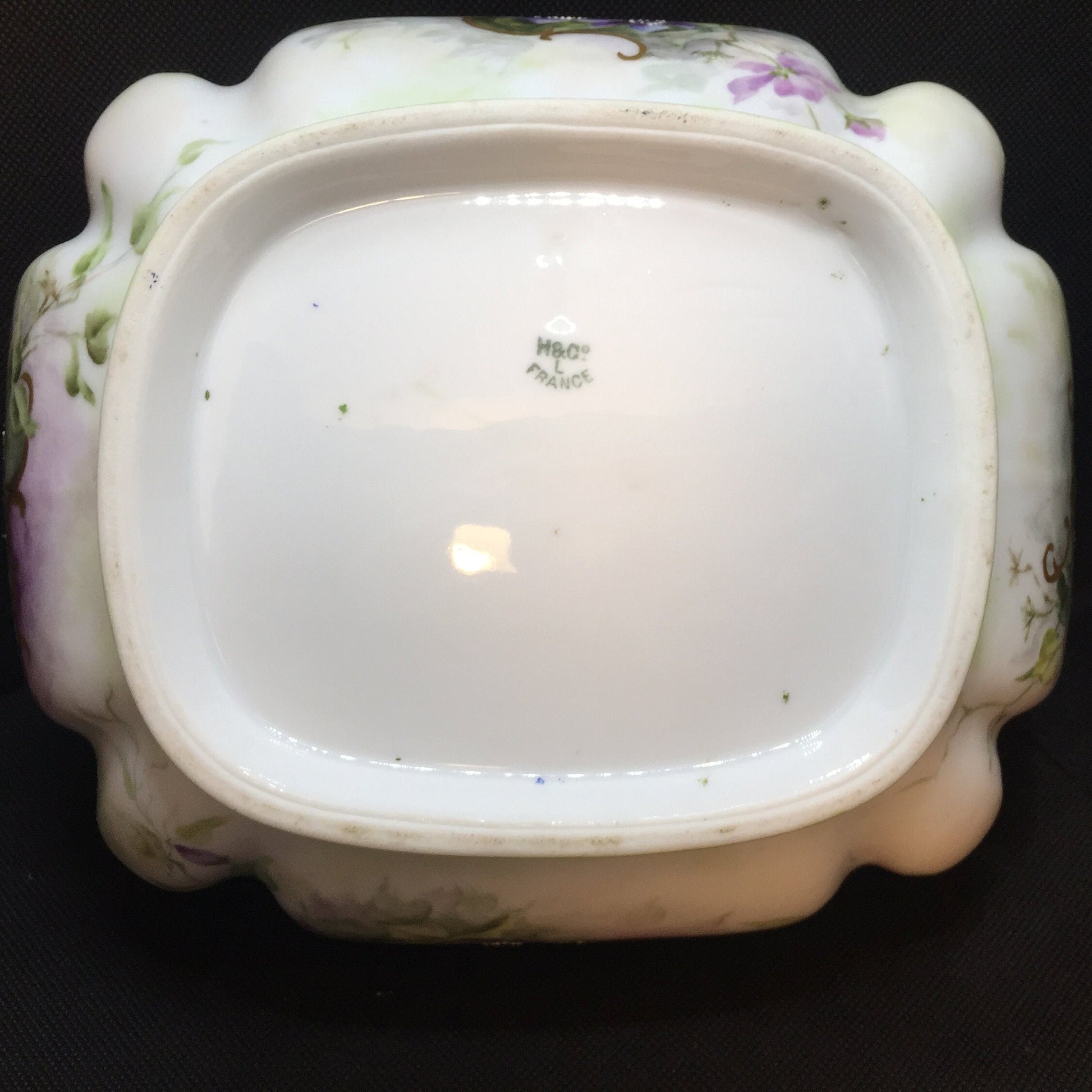 Limoges Bowl by Haviland Hand Painted Bottom