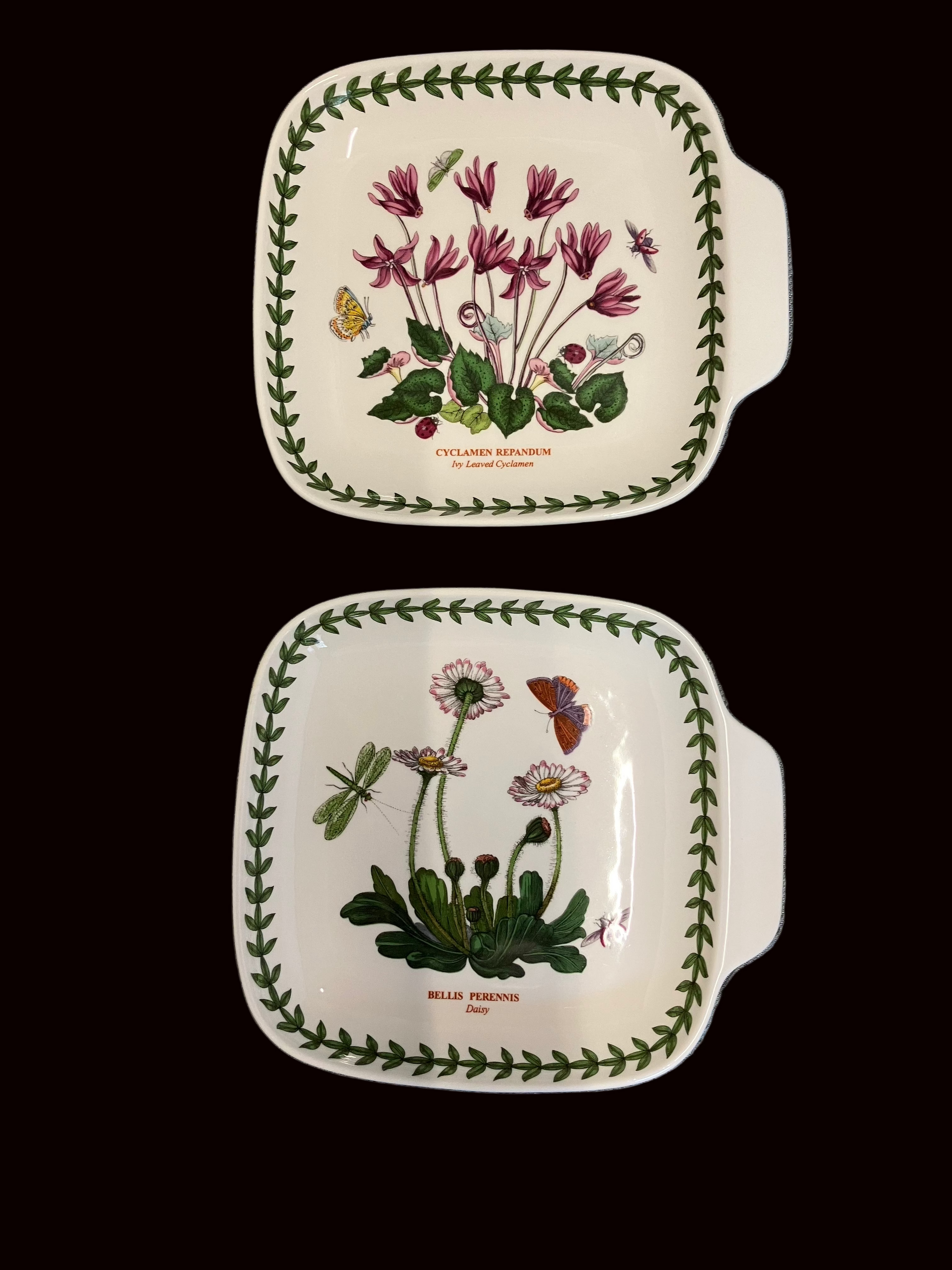Set of two Portmeirion Botanic Garden canapé plates