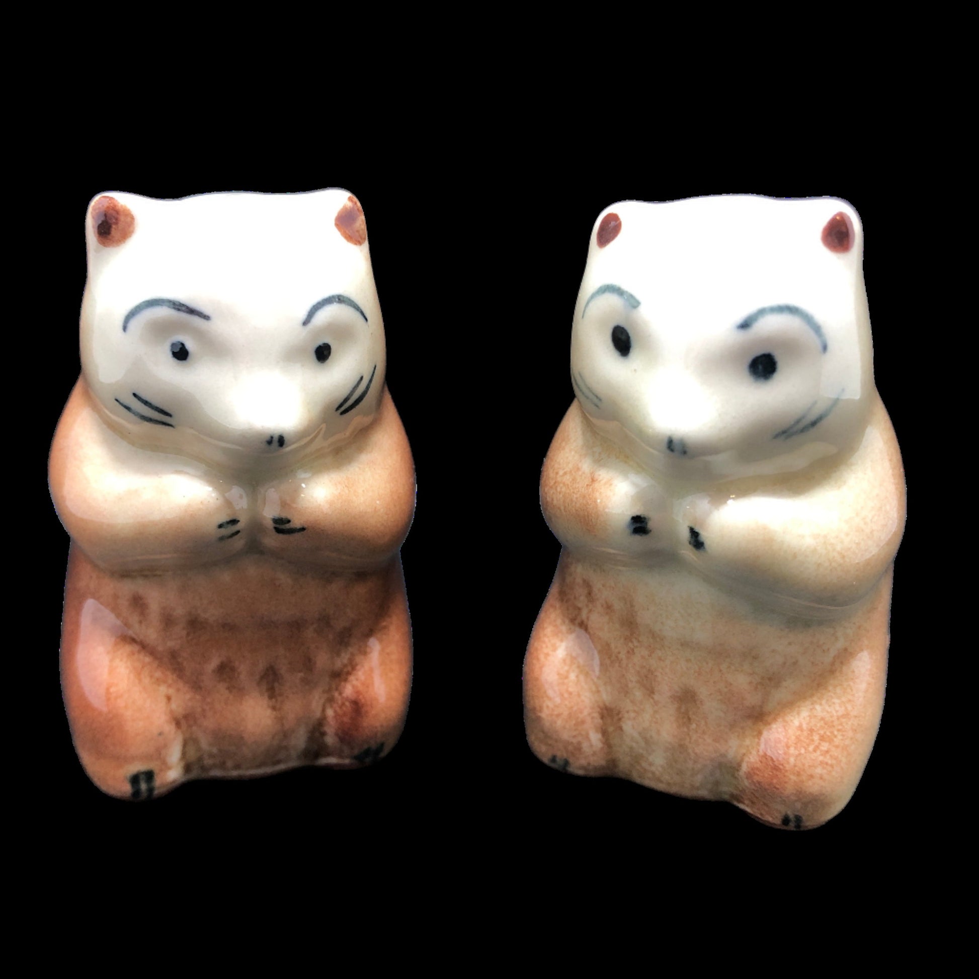 Vintage Salt & Pepper Shakers Bear