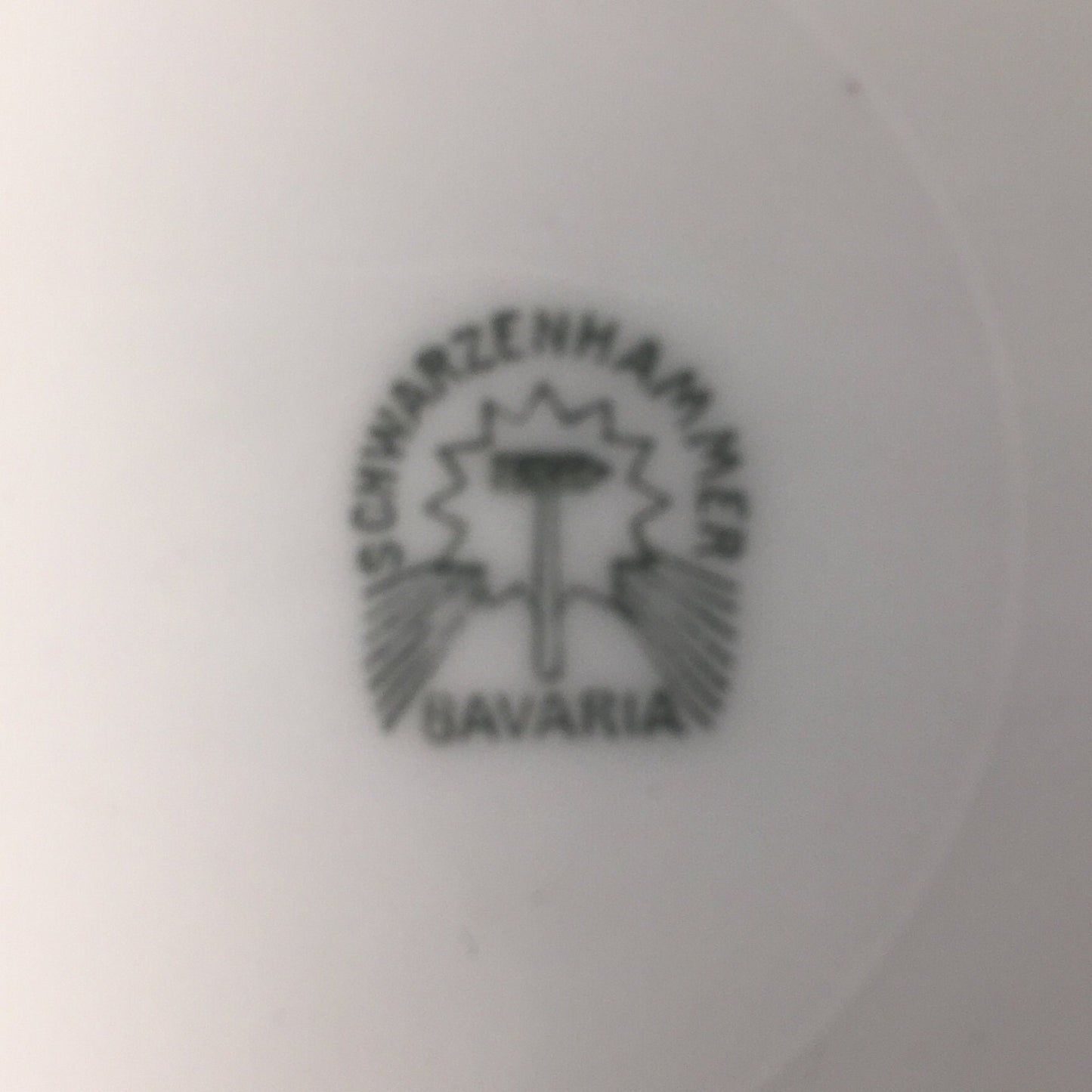 Beautiful Schwarzenhammer Serving Bowl Made in Bavaria