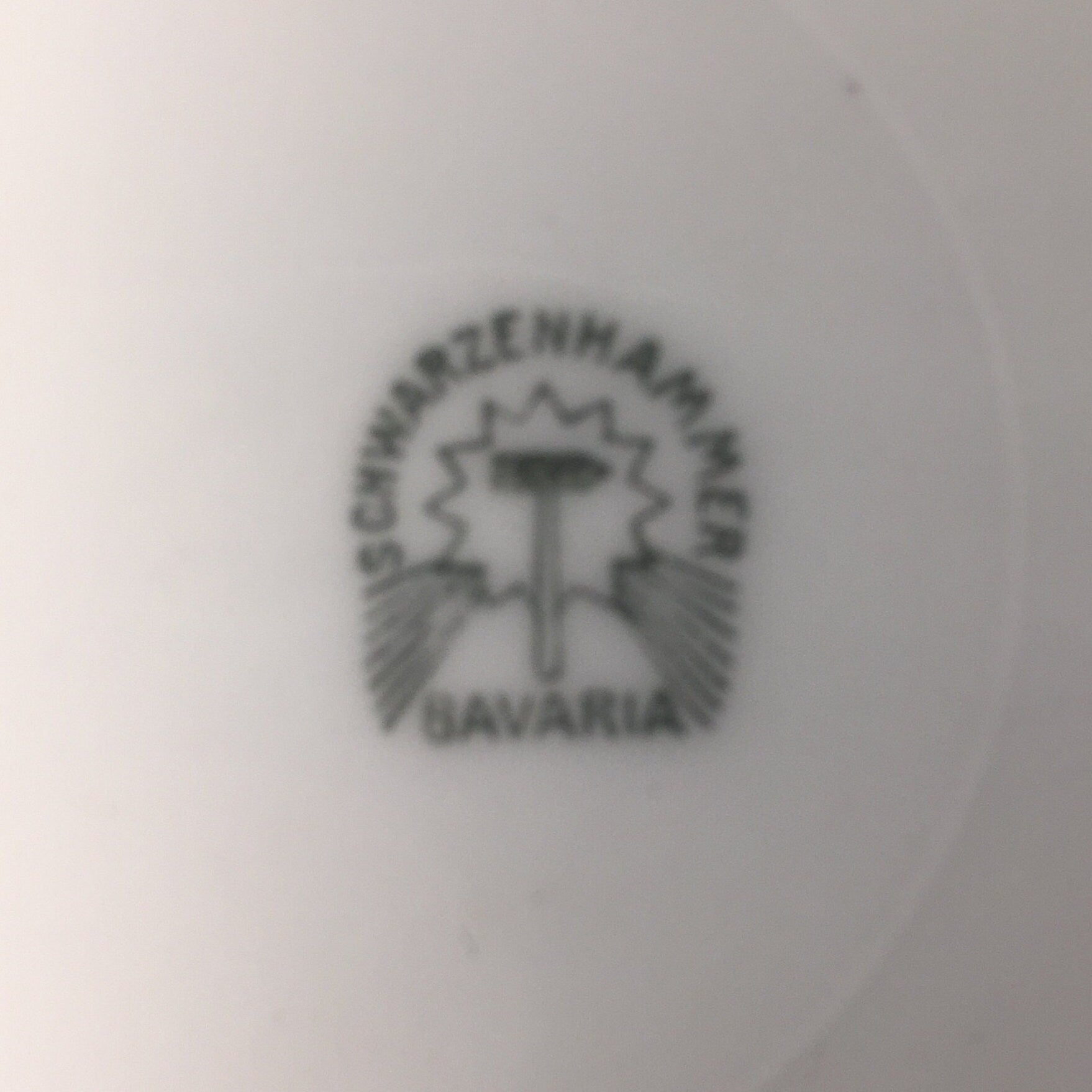 Beautiful Schwarzenhammer Serving Bowl Made in Bavaria