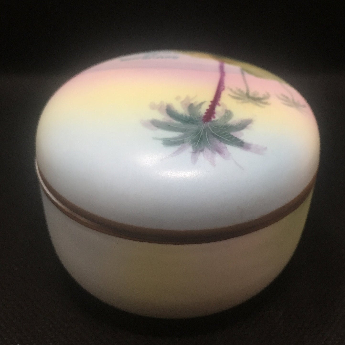 Unique Nippon Souvenir Trinket Dish with Lid