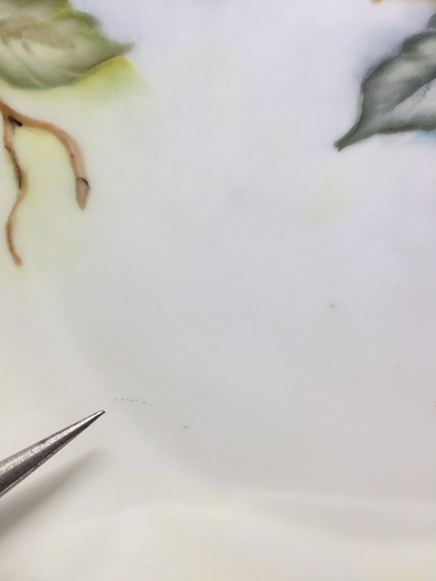 Hand painted Schumann of Germany Cherry Plate