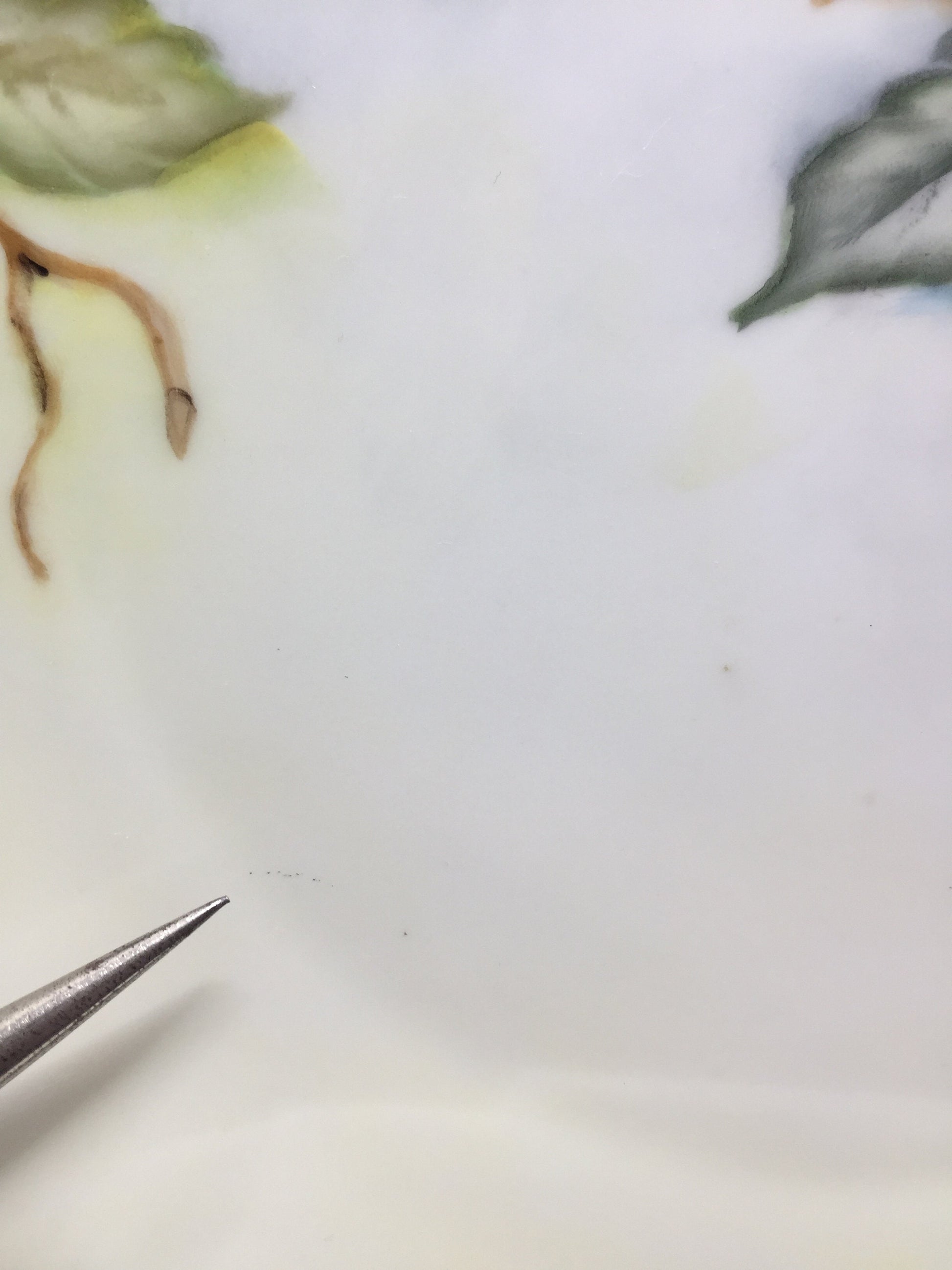 Hand painted Schumann of Germany Cherry Plate